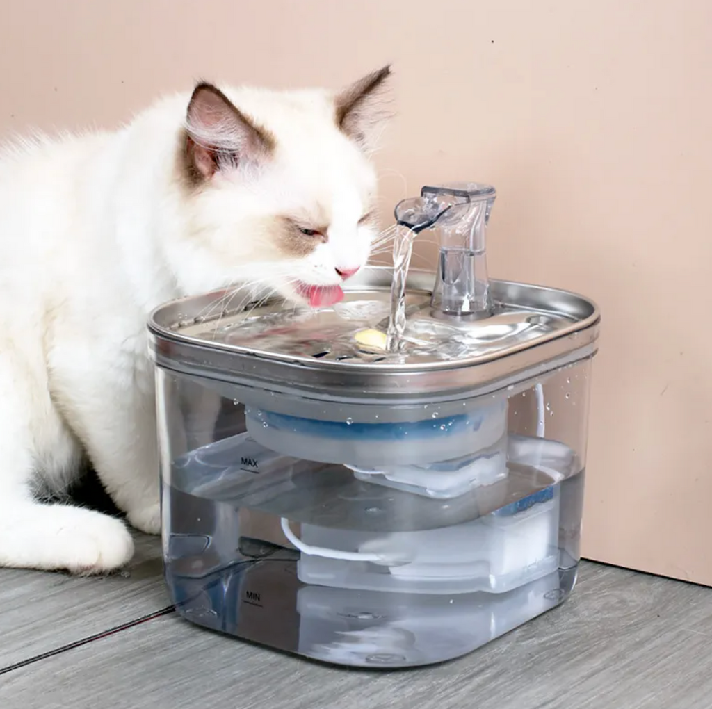 Smart Stainless Steel Pet Water Fountain – Automatic Circulating Drinking Dispenser for Cats & Dogs (2L)