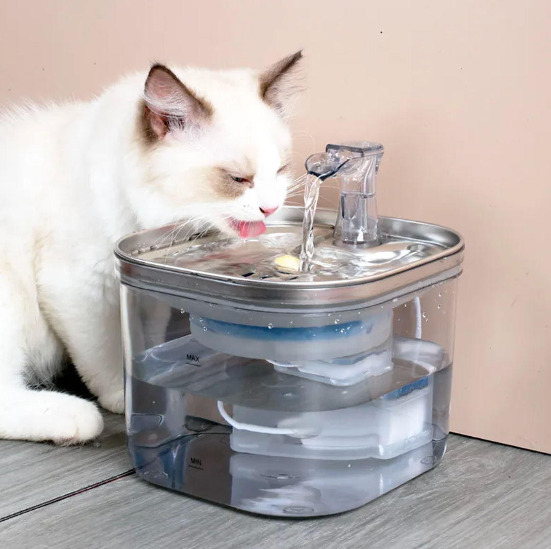 Smart Stainless Steel Pet Water Fountain – Automatic Circulating Drinking Dispenser for Cats & Dogs (2L)