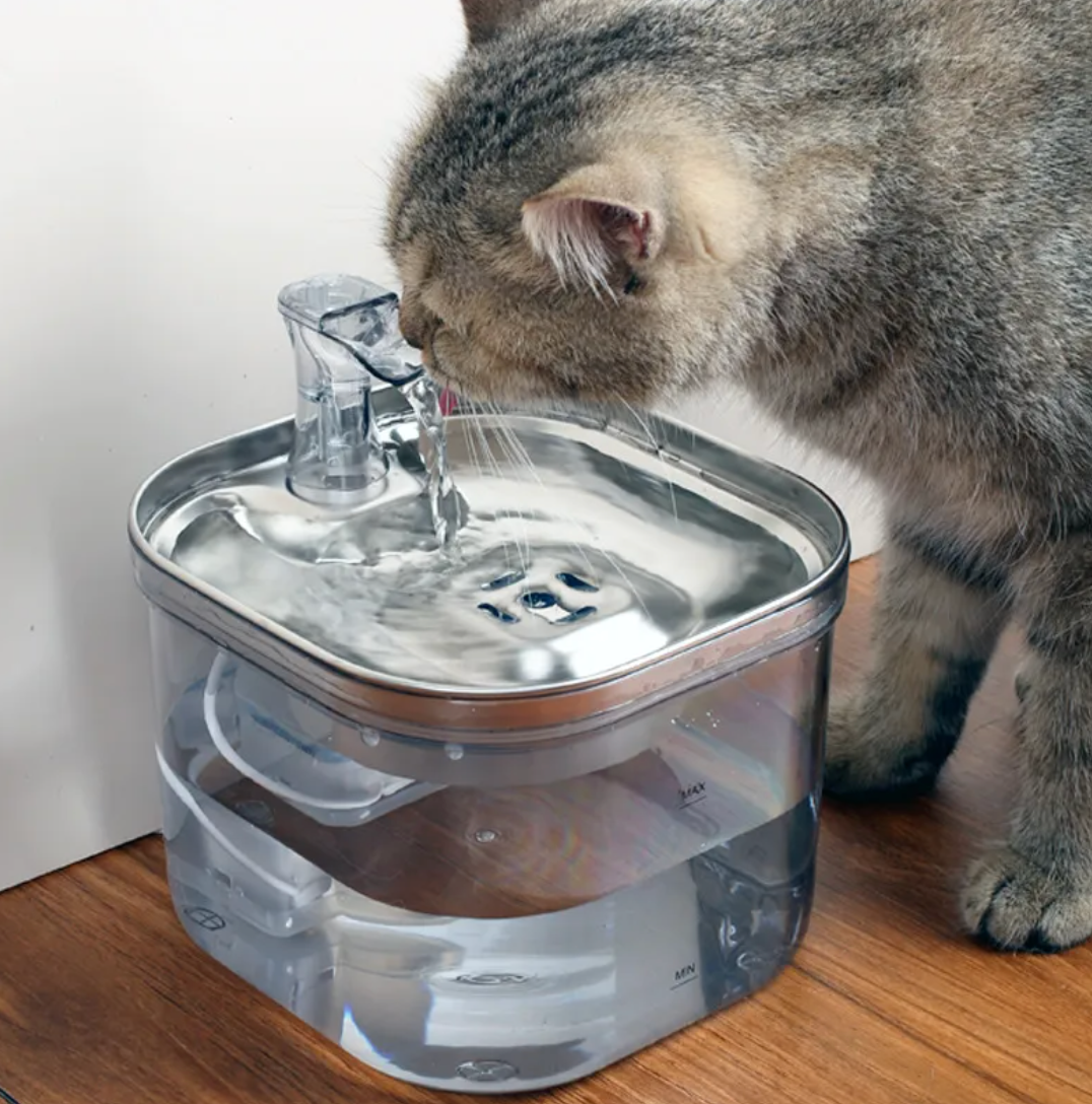 Smart Stainless Steel Pet Water Fountain – Automatic Circulating Drinking Dispenser for Cats & Dogs (2L)