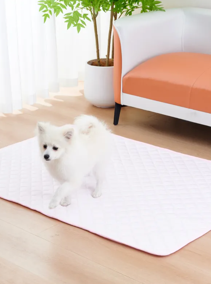 Self-Cooling Gel Mat for Dogs & Cats — Pressure Activated, No Electricity Needed | Heatstroke Prevention Cooling Pad | UAE Summer Essential | Multiple Sizes