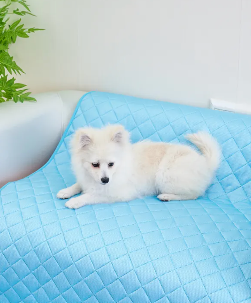 Self-Cooling Gel Mat for Dogs & Cats — Pressure Activated, No Electricity Needed | Heatstroke Prevention Cooling Pad | UAE Summer Essential | Multiple Sizes